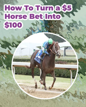 Best horse picks today